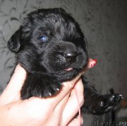 Превью фото № 211765