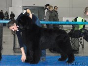 Превью фото № 211837