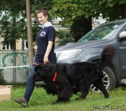 Превью фото № 211854