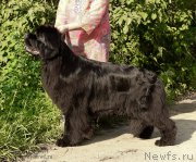 Превью фото № 211935