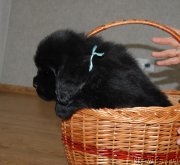 Превью фото № 211943