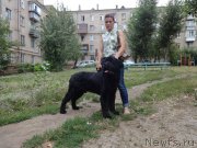 Превью фото № 211957