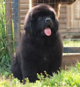 Превью фото № 212024