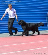 Превью фото № 212052