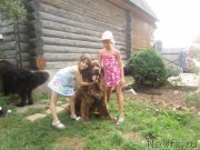 Превью фото № 212088