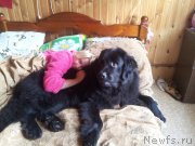 Превью фото № 212103