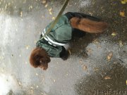 Превью фото № 212127