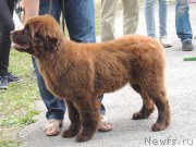 Превью фото № 212133