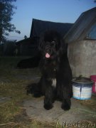 Превью фото № 212143