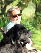 Превью фото № 212147