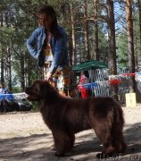 Превью фото № 212159