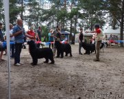 Превью фото № 212160