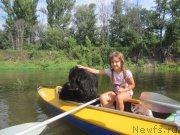 Превью фото № 212174