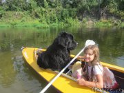 Превью фото № 212175