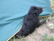 Превью фото № 212179