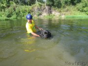 Превью фото № 212185