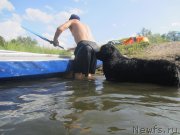 Превью фото № 212187