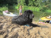 Превью фото № 212188