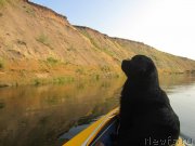 Превью фото № 212190