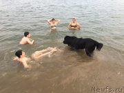 Превью фото № 212230