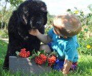 Превью фото № 212251