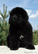 Превью фото № 212253