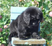 Превью фото № 212265