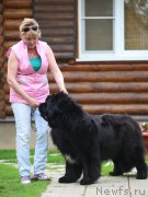 Превью фото № 212314