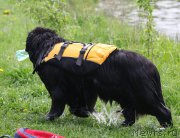 Превью фото № 212323