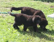 Превью фото № 212338