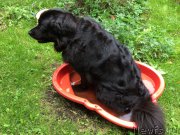 Превью фото № 212379