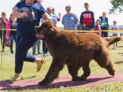 Превью фото № 212382