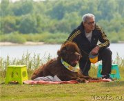 Превью фото № 212383