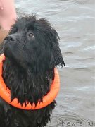 Превью фото № 212386