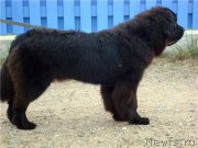 Превью фото № 212393