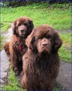 Превью фото № 212433