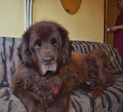 Превью фото № 212438