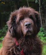 Превью фото № 212444