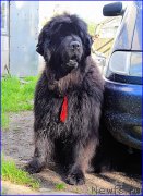 Превью фото № 212457