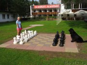 Превью фото № 212470