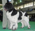 Превью фото № 21249