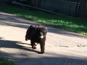 Превью фото № 212490