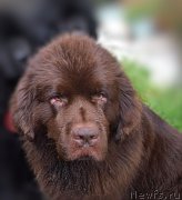 Превью фото № 212513