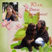 Превью фото № 212556