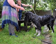 Превью фото № 212574