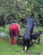 Превью фото № 212575