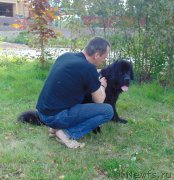 Превью фото № 212586