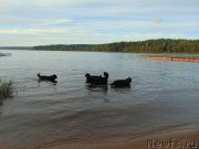 Превью фото № 212590