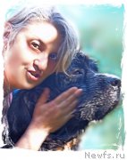 Превью фото № 212624