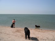 Превью фото № 212627